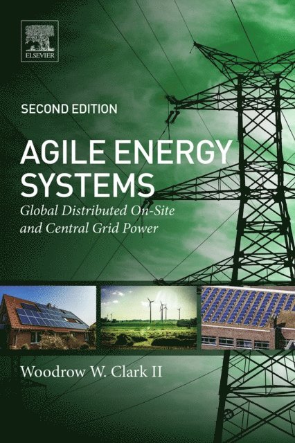 Woodrow W. Clark II - Agile Energy Systems, E-bok