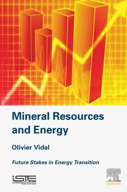 Olivier Vidal - Mineral Resources and Energy, E-bok