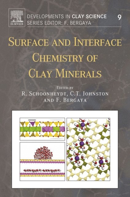 Faiza Bergaya, Cliff T. Johnston, Robert Schoonheydt - Surface and Interface Chemistry of Clay Minerals, E-bok