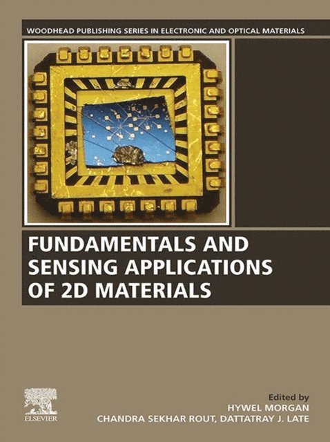 Hywel Morgan, Dattatray J. Late, Chandra Sekhar Rout - Fundamentals and Sensing Applications of 2D Materials, E-bok