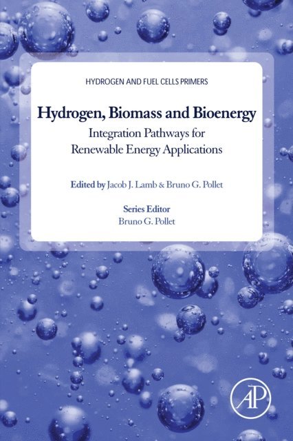 Jacob Joseph Lamb, Bruno G. Pollet - Hydrogen, Biomass and Bioenergy, E-bok