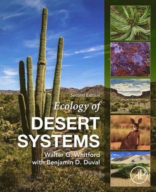 Benjamin D. Duval, Walter G. Whitford - Ecology of Desert Systems, E-bok