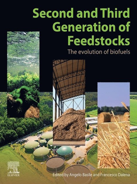 Francesco Dalena, Angelo Basile - Second and Third Generation of Feedstocks, E-bok