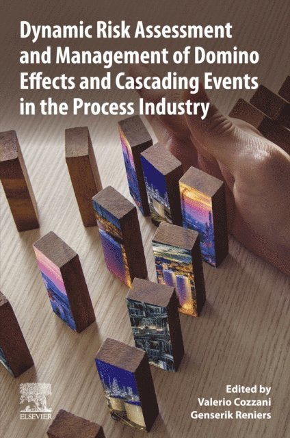 Genserik Reniers, Valerio Cozzani - Dynamic Risk Assessment and Management of Domino Effects and Cascading Events in the Process Industry, E-bok