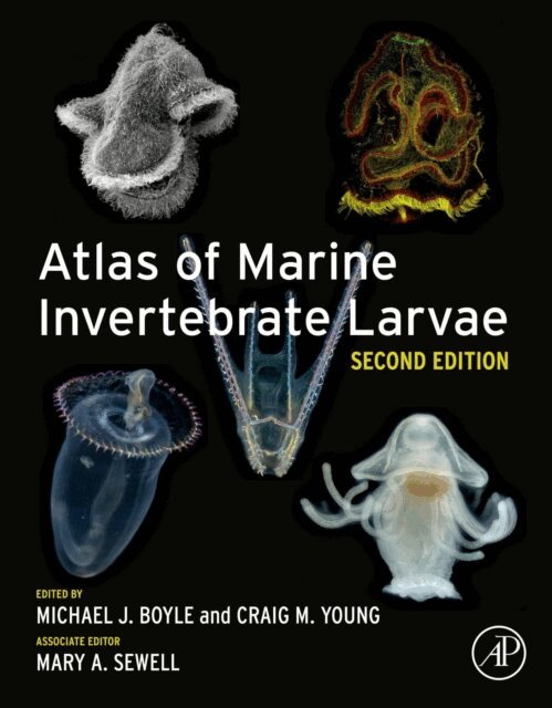 Mary A. Sewell, Craig M. Young, Michael J. Boyle - Atlas of Marine Invertebrate Larvae, E-bok