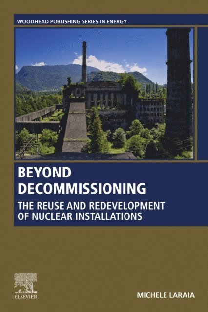 Michele Laraia - Beyond Decommissioning, E-bok