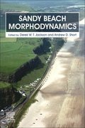 Sandy Beach Morphodynamics