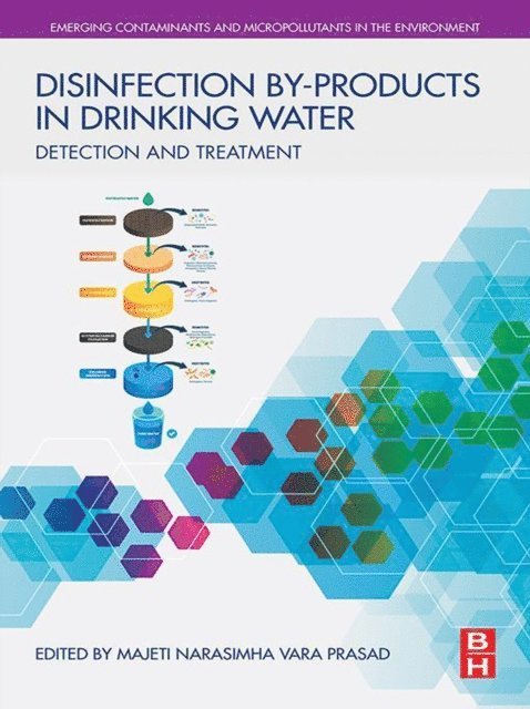 M.N.V. Prasad - Disinfection By-products in Drinking Water, E-bok