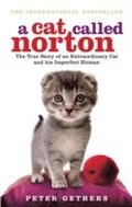 Cat Called Norton