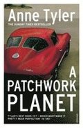 A Patchwork Planet