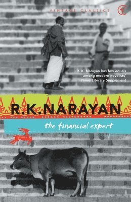 R K Narayan - Financial Expert, Häftad