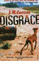 J.M. Coetzee - Disgrace, Häftad
