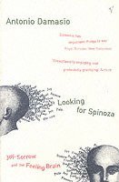 Looking For Spinoza