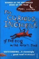Curious Incident Of The Dog In The Night-Time: Adult edition