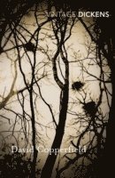 Charles Dickens - David Copperfield, Häftad