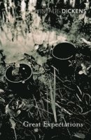 Charles Dickens - Great Expectations, Häftad