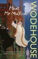 P.G. Wodehouse - Meet Mr Mulliner, Häftad