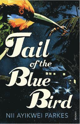 Nii Ayikwei Parkes - Tail of the Blue Bird, Häftad