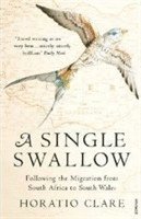 A Single Swallow