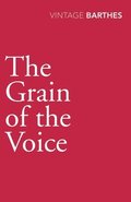 Grain Of The Voice