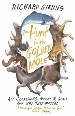 Richard Girling - Hunt for the Golden Mole, Häftad. Tillgänglighet: Lägg i varukorg