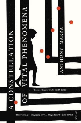 Anthony Marra - Constellation of Vital Phenomena, Häftad