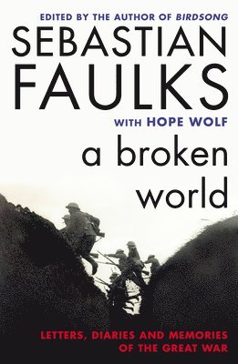 Sebastian Faulks, Hope Wolf - Broken World, Häftad