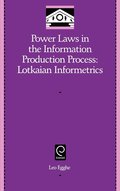 Power Laws in the Information Production Process
