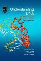 Understanding DNA