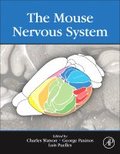 Mouse Nervous System