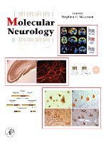 Molecular Neurology
