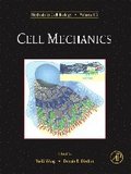 Cell Mechanics