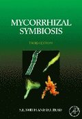 Mycorrhizal Symbiosis