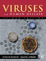 Ellen G. Strauss, James H. Strauss - Viruses and Human Disease, Inbunden. Tillgänglighet: Lägg i varukorg