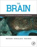 Brain