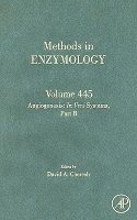 Angiogenesis: In Vivo Systems, Part B