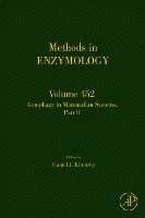 Autophagy in Mammalian Systems, Part B