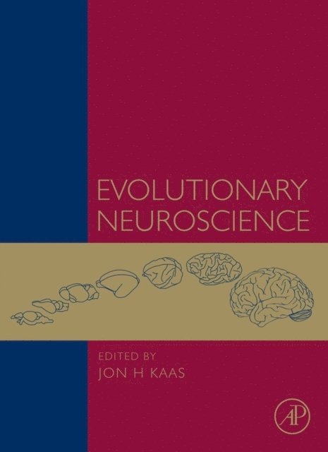 Jon H. Kaas - Evolutionary Neuroscience, E-bok