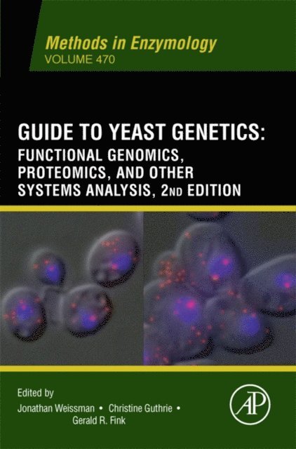 Guide to Yeast Genetics: Functional Genomics, Proteomics, and Other Systems Analysis, E-bok