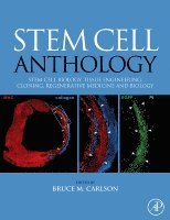 Stem Cell Anthology
