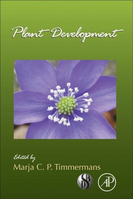 Marja Timmermans - Plant Development, E-bok
