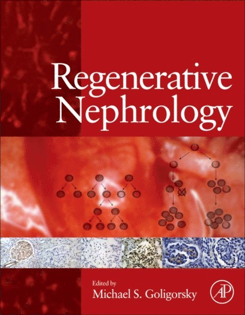 Michael S. Goligorsky - Regenerative Nephrology, E-bok. Tillgänglighet: Lägg i varukorg