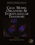 Cilia: Model Organisms and Intraflagellar Transport