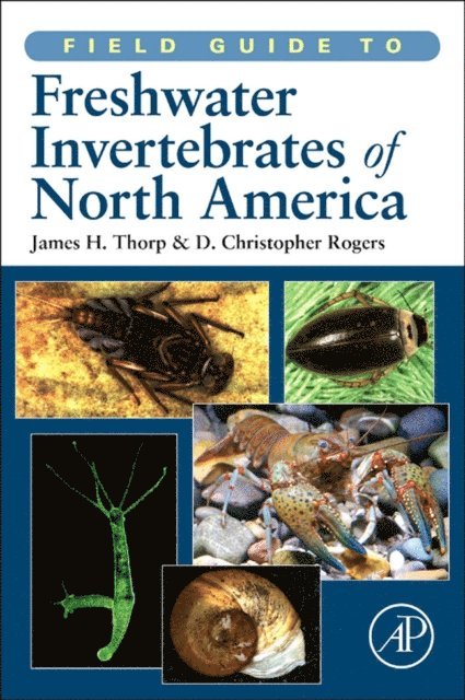 D. Christopher Rogers, James H. Thorp - Field Guide to Freshwater Invertebrates of North America, E-bok