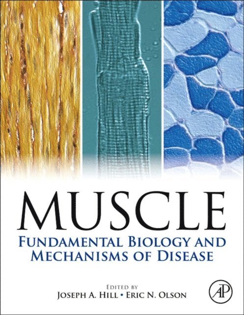 Eric Olson, Joseph Hill - Muscle 2-Volume Set, E-bok