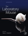 Laboratory Mouse