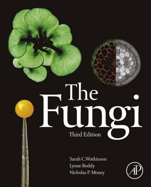 Nicholas Money, Lynne Boddy, Sarah C. Watkinson - Fungi, E-bok