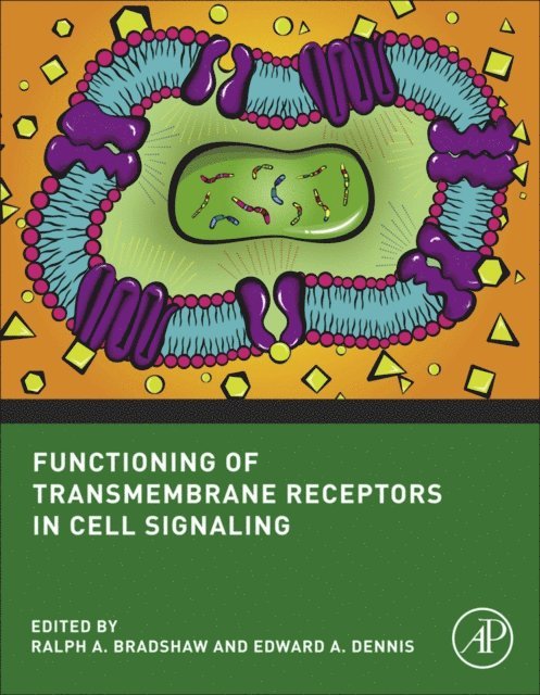 Edward A. Dennis, Ralph A. Bradshaw - Functioning of Transmembrane Receptors in Signaling Mechanisms, E-bok
