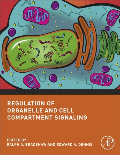 Edward A. Dennis, Ralph A. Bradshaw - Regulation of Organelle and Cell Compartment Signaling, E-bok