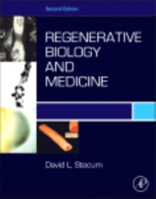 David L. Stocum - Regenerative Biology and Medicine, E-bok